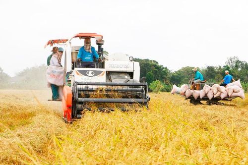 Ngành Nông nghiệp và Môi trường luôn là trụ cột quan trọng của nền kinh tế