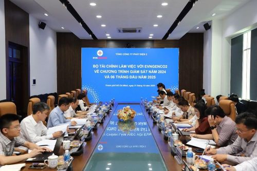 Bộ Tài chính làm việc với EVNGENCO2 về Chương trình giám sát tài chính năm 2024 và 6 tháng đầu năm 2025