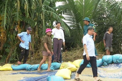 Đà Nẵng khẩn trương kích hoạt các phương án ứng phó với bão số 13 Kalmaegi