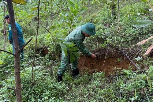 Đà Nẵng: di dời khẩn cấp 17 hộ dân xã La Dêê trong đêm do nguy cơ sạt lở đất