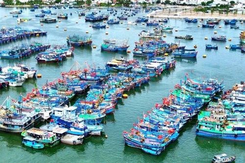 Lãnh đạo Tỉnh ủy Khánh Hòa kiểm tra công tác phòng, chống bão
