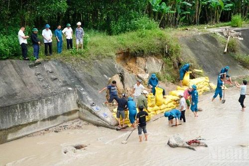 Đà Nẵng: Khẩn trương gia cố bờ kè khu dân cư Gò Dinh