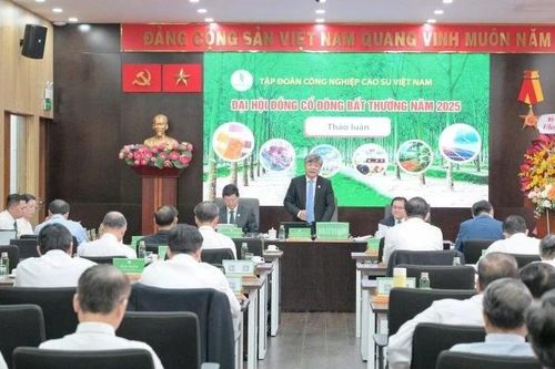 VRG nỗ lực đạt mục tiêu doanh thu năm 2025 hơn 32.000 tỷ đồng