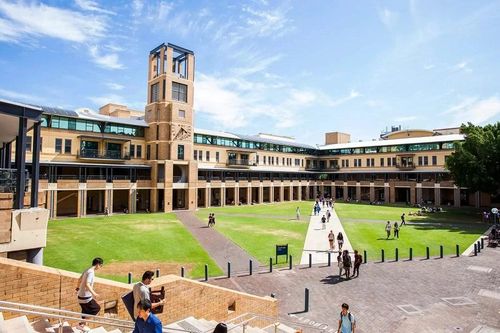 Giảng viên dùng ChatGPT chấm bài, sinh viên Australia phẫn nộ