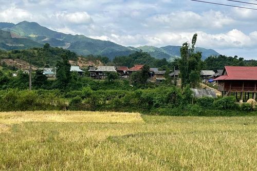 Động lực thoát nghèo từ việc đẩy mạnh thông tin ở Mường Nhà