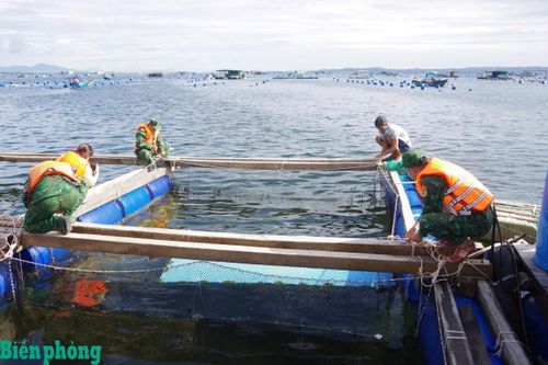 BĐBP tỉnh Khánh Hòa chủ động ứng phó với bão số 13