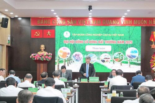Tập đoàn công nghiệp cao su Việt Nam đạt doanh thu tối thiểu 32.007 tỷ đồng trong năm 2025