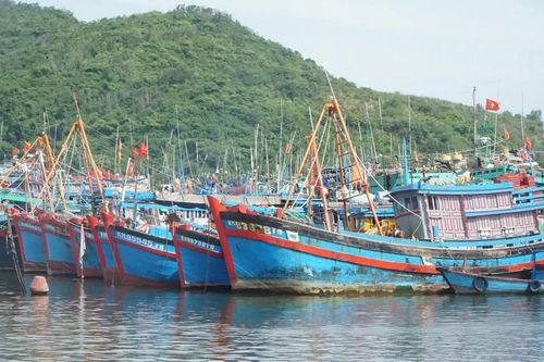 Khánh Hòa lập 9 tổ công tác ứng phó bão, người dân vội bán cá tôm