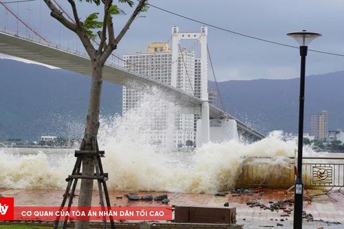 Toàn hệ thống chính trị Đà Nẵng vào cuộc ứng phó bão Kalmaegi