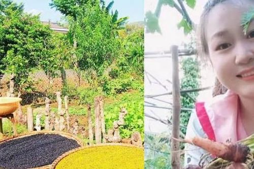 Bỏ phố về quê trồng rau, 9X tìm thấy bình yên giữa nắng gió Tây Nguyên