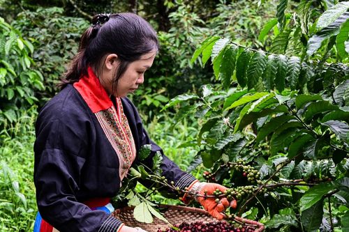 Việt Nam phủ kín bản đồ nông sản toàn cầu, xuất khẩu tới 190 quốc gia và vùng lãnh thổ