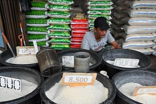 Sản lượng kỷ lục của Indonesia góp phần giảm giá gạo thế giới