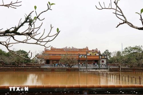 Bộ VHTTDL yêu cầu khẩn trương khắc phục thiên tai ở di tích, bảo tàng tại Huế