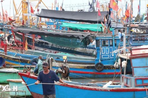 Khánh Hòa: Tàu thuyền khẩn trương vào bờ tránh trú bão số 13