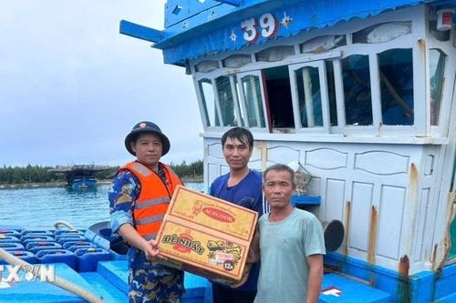 Các Trung tâm dịch vụ Hậu cần-Kỹ thuật tại Trường Sa đón ngư dân tránh bão