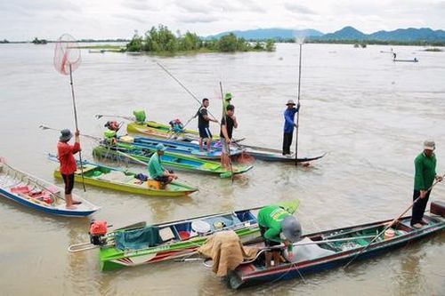 An Giang: Cống Tha La xả lũ, người dân đổ về bắt cá linh, niềm vui mùa nước nổi xen lẫn nỗi lo kích điện