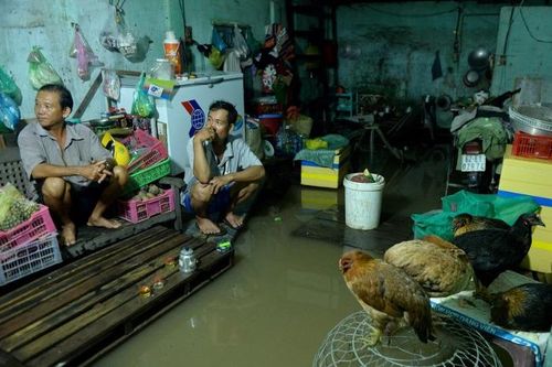 Mắc kẹt dưới trần