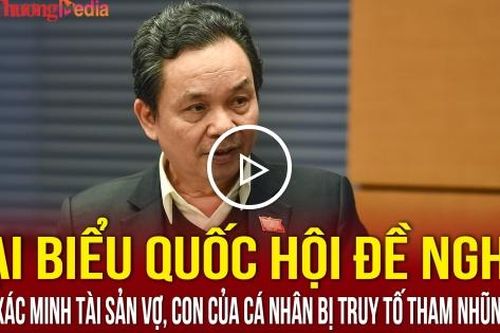 Đại biểu Quốc hội đề nghị phải xác minh tài sản vợ, con của cá nhân bị truy tố tham nhũng