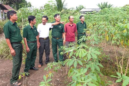 Người lính thời bình
