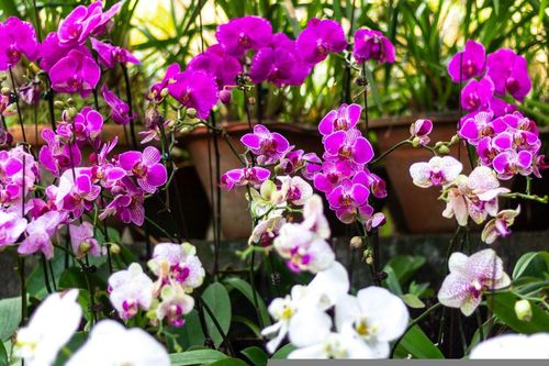 Bản tin Dự báo thời tiết ngày 6/11/2025