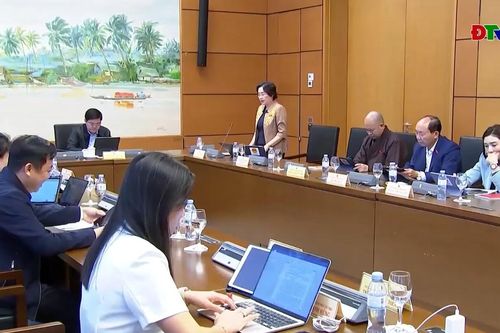ĐBQH tỉnh tham gia ý kiến vào dự thảo Luật Sở hữu trí tuệ (sửa đổi) và dự thảo Luật Thi hành án (sửa đổi)