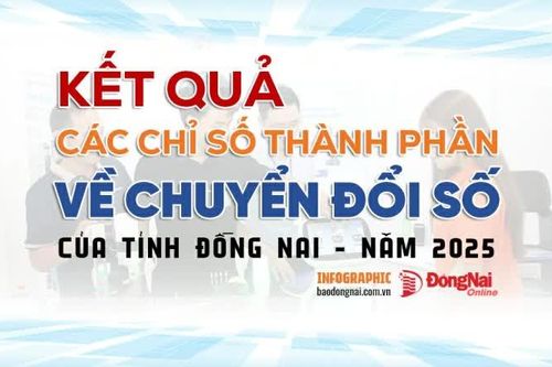 [Infographic] Kết quả bộ chỉ số chuyển đổi số (DTI) năm 2024 của Đồng Nai ra sao?