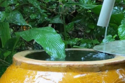 'Giọt nước cũng có ký ức'