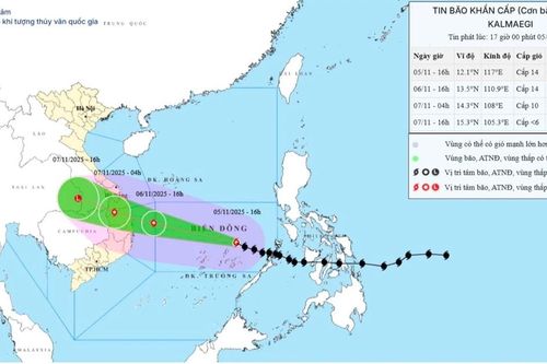 Bão số 13 di chuyển 25 km/h, cách Quy Nhơn khoảng 880 km