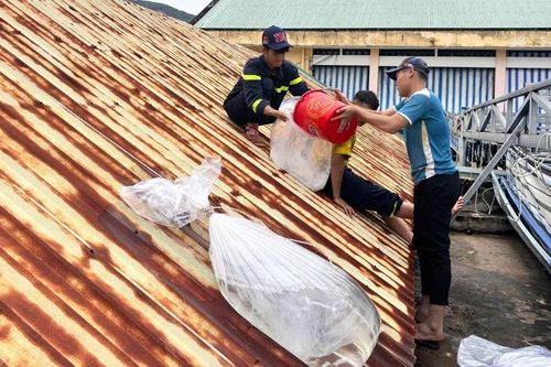 Người dân Gia Lai chủ động chia sẻ cách ứng phó bão Kalmaegi