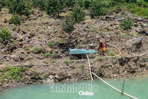 Xã Tây Khánh Sơn yêu cầu người dân không tích nước tại các ao hồ để ứng phó bão số 13