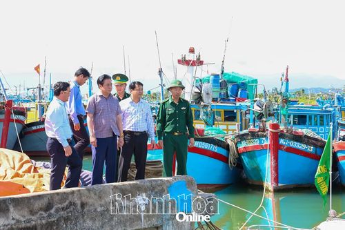 Thành lập 9 tổ công tác phụ trách công tác phòng, chống bão số 13