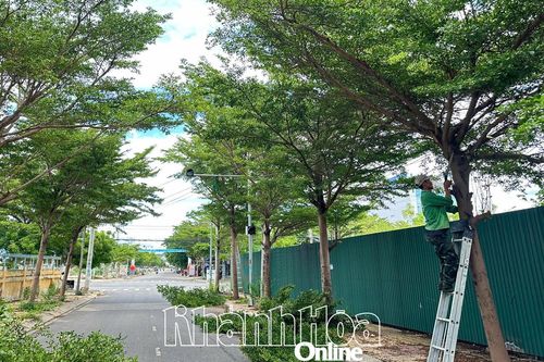 Phường Ninh Chử chủ động phòng, chống bão