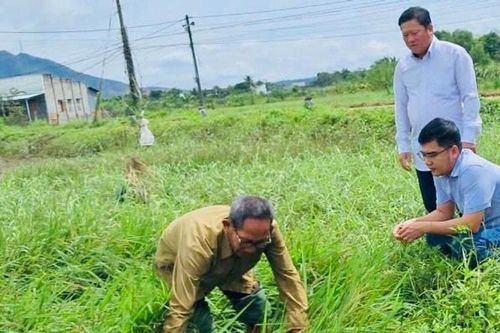 Giải pháp khôi phục sản xuất sau mưa lũ