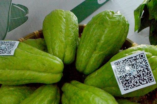 Thúc đẩy tiêu thụ nông sản gắn với chuyển đổi số