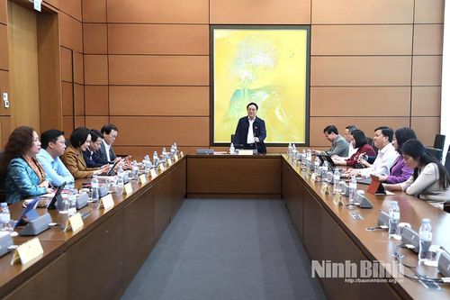 Kỳ họp thứ 10, Quốc hội khóa XV: Đại biểu Quốc hội tỉnh góp ý vào các Dự án Luật liên quan đến Thuế
