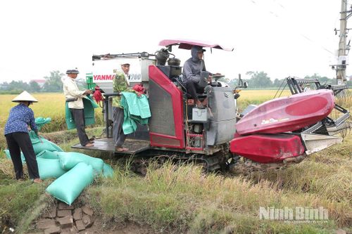 Vụ Mùa 2025: vượt qua thách thức