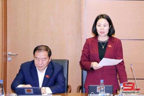 Đoàn đại biểu Quốc hội tỉnh Sơn La thảo luận tại Tổ