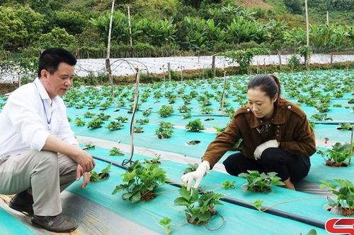 Yên Sơn quyết tâm không còn hộ nghèo