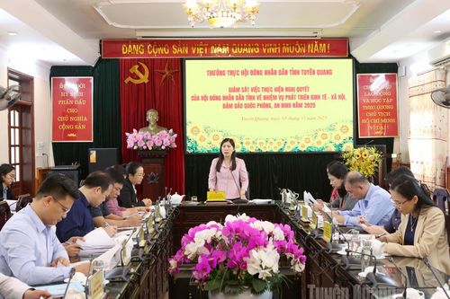 Thường trực HĐND tỉnh giám sát tình hình thực hiện nghị quyết về phát triển kinh tế - xã hội, quốc phòng, an ninh năm 2025