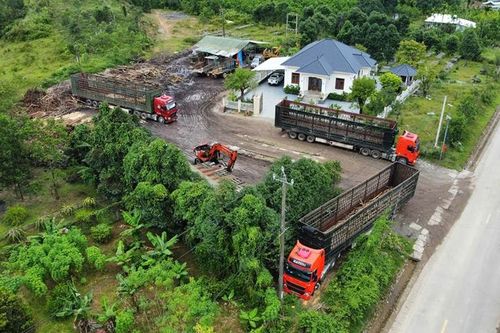 Buông lỏng quản lý hoạt động cơ sở thu mua gỗ keo tràm - Bài 2: Tăng cường trách nhiệm trong quản lý hoạt động trạm cân