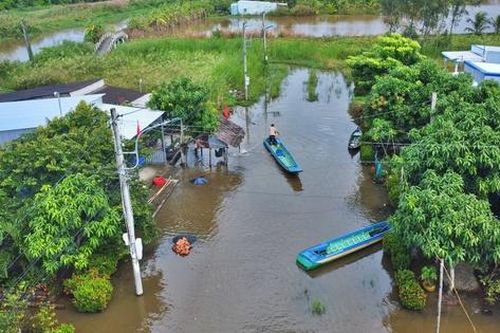 Cà Mau: Người dân khu tái định cư vất vả lưu thông vì nước ngập bủa vây gần nửa tháng