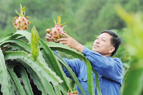 Đồng hành cùng nông dân, kiến tạo nền nông nghiệp vững mạnh trong kỷ nguyên mới