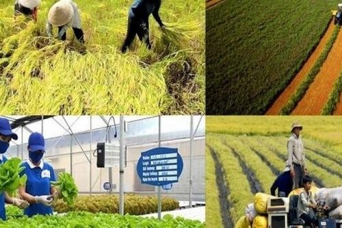 Nhiều hoạt động phong phú kỷ niệm 80 năm ngành Nông nghiệp và Môi trường