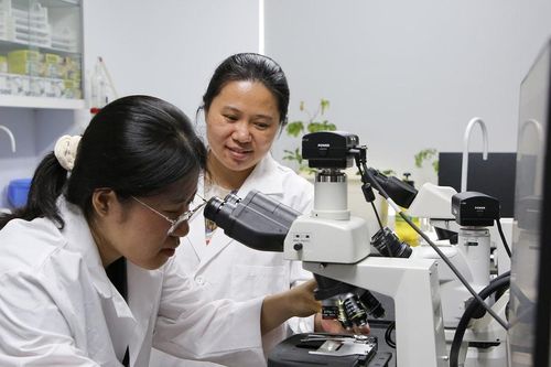 25 cơ sở giáo dục đại học Việt Nam trong Bảng xếp hạng QS Châu Á 2026