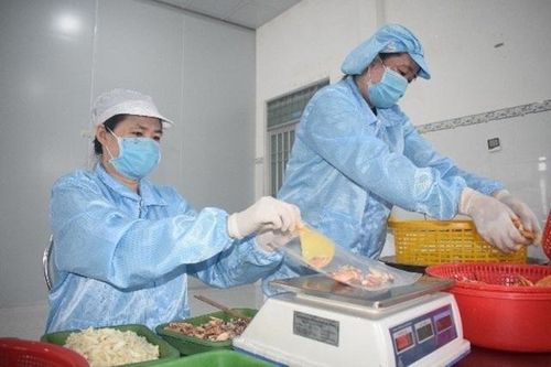 Khi OCOP trở thành 'trái tim' của nông thôn mới Cà Mau