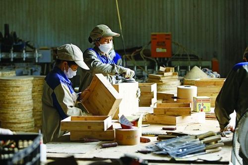 Luật Phá sản sửa đổi: Không để những 'xác sống' gây hệ lụy