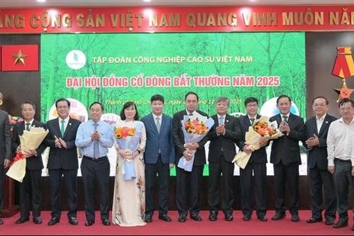 VRG sẽ đạt doanh thu tối thiểu 32.007 tỷ đồng năm 2025
