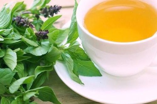 8 lợi ích sức khỏe nổi bật từ trà húng quế