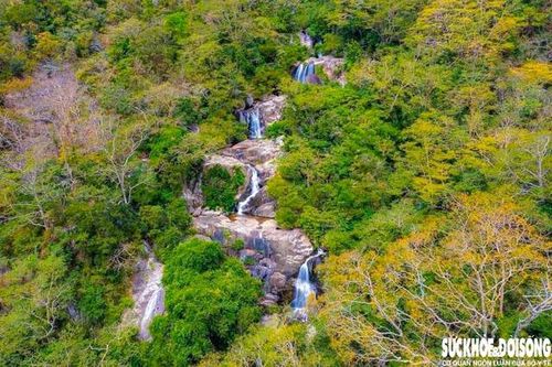 Mở rộng Khu dự trữ sinh quyển Núi Chúa: Kết nối rừng, biển và sinh kế cộng đồng