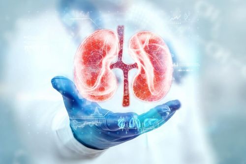 4 điều đơn giản giúp sức khỏe thận tốt lên mỗi ngày